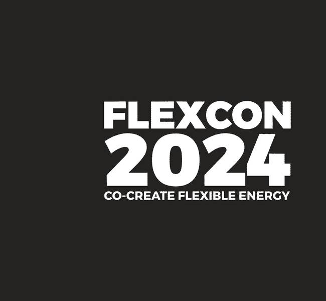 Flexcon 2024