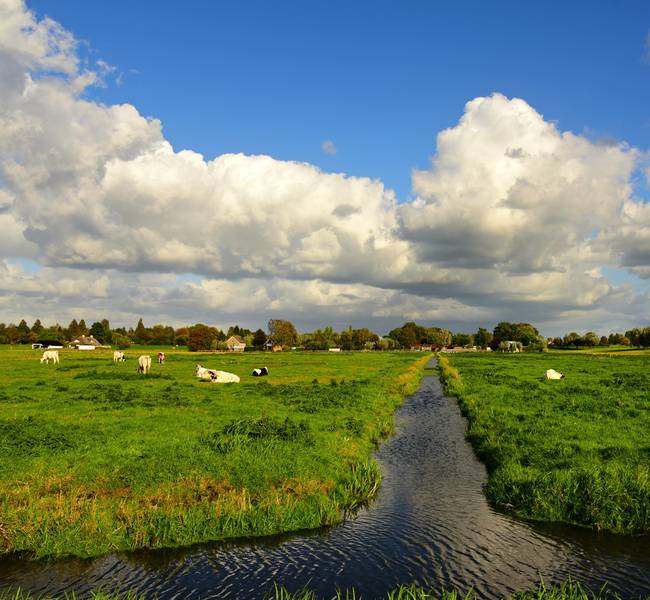 Landschap in Nederland