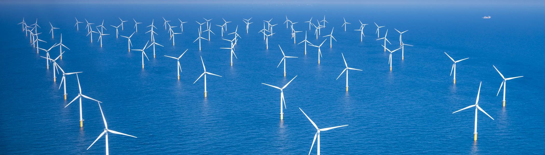 A sea full with wind turbines