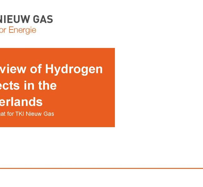 Globally hydrogen projects are developing at a great speed.