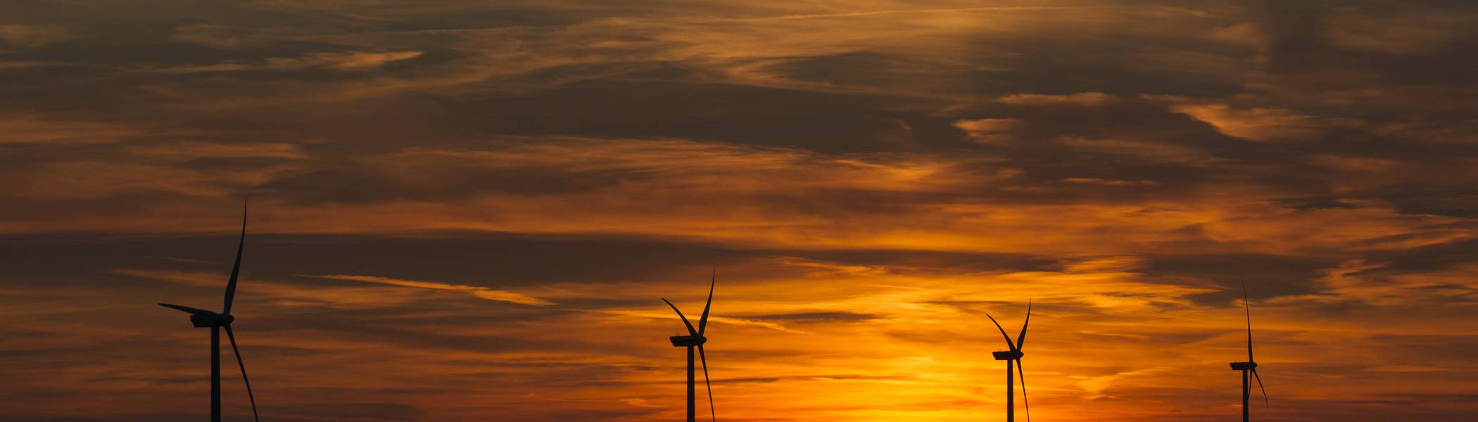 Offshore Wind Farm in Sunset